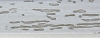 Blanc patin� plat 68x16 mm